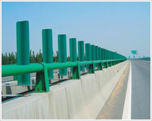 ����֧��