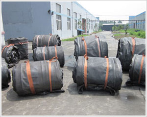 �������İ�оĤ